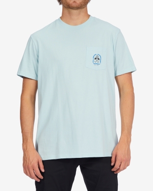 Men's Billabong Brig Pocket T Shirts Multicolor | 387JONZXE