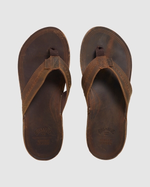 Men's Billabong Brunswick Thong Flip Flops Dark Chocolate | 820GIPEKZ