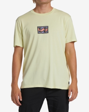 Men's Billabong Chest Wave Washed Short Sleeve T Shirts Light Green | 067ZOFWBY