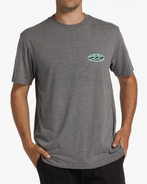 Men's Billabong Crayon Wave Short Sleeve T Shirts Grey | 264DHFKEX
