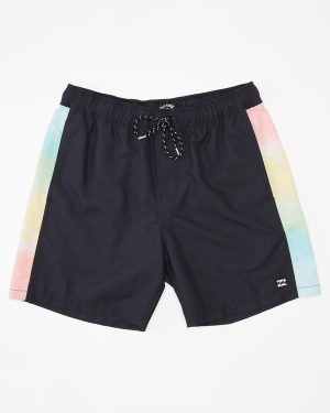 Men's Billabong D Bah Layback 17 Boardshorts Multicolor | 138HLRJKD