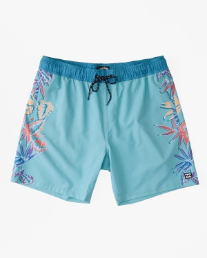 Men's Billabong D Bah Layback 17 Boardshorts Multicolor | 602ODRZGI