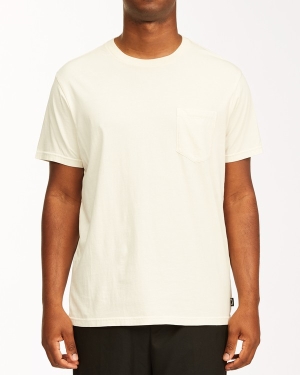 Men's Billabong Essential Pocket Wave Washed T Shirts White | 302UYLDKB