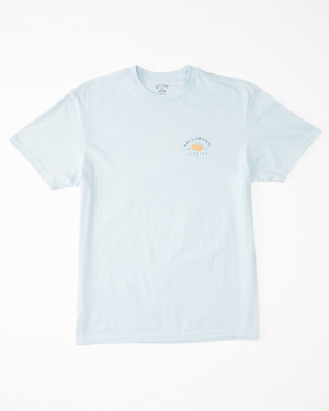 Men's Billabong Flora Florida Short Sleeve T Shirts Blue | 265LYSEFJ