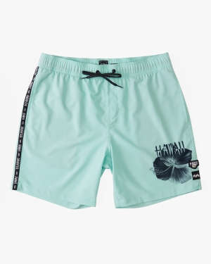 Men's Billabong Kamea Hawaii Layback 16 Boardshorts Mint | 085EHZWSY