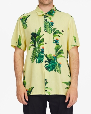 Men's Billabong Kamea Jungle Short Sleeve Shirts Yellow | 126NCOSTV