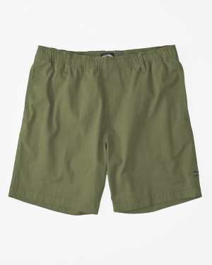 Men's Billabong Larry Layback 19 Shorts Multicolor | 104QVHNCL
