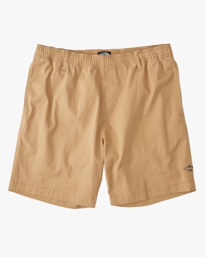 Men's Billabong Larry Layback 19 Shorts Multicolor | 482DSCWPK