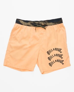 Men's Billabong Offcuts Melon Layback 17 Boardshorts Multicolor | 792LOZGJX