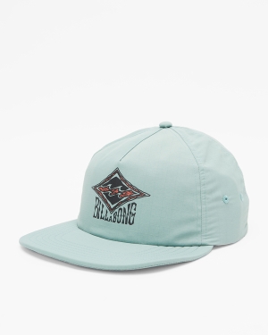 Men's Billabong Sons Of Fun Strapback Hats Olive | 431QONMRK