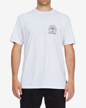 Men's Billabong Steady Short Sleeve T Shirts White | 391FDOKJZ