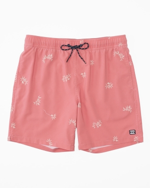 Men's Billabong Sundays Layback 17 Boardshorts Pink | 236QRJHIG