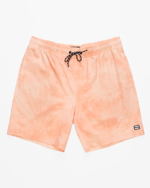 Men's Billabong Sundays Layback 17 Boardshorts Multicolor | 564YOZDEF