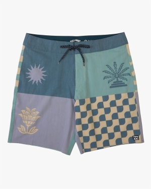 Men's Billabong Sundays Placement Pro 19 Boardshorts Multicolor | 621NXRKVL
