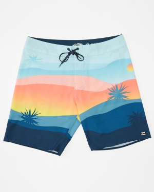 Men's Billabong Sundays Pro 19 Boardshorts Multicolor | 817IZWRDY
