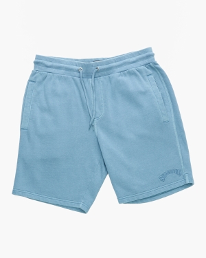 Men's Billabong Wave Washed Elastic Waist Sweatshorts Shorts Blue | 380WVYNCD
