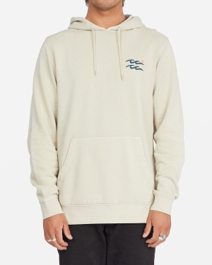 Men's Billabong Wave Washed Plantasia Pullover Hoodie Multicolor | 925SGLJXH