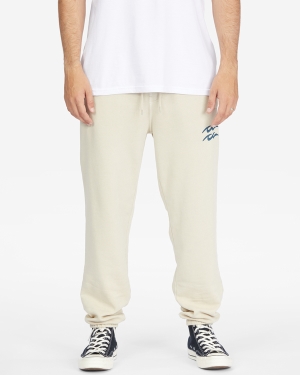 Men's Billabong Wave Washed Plantasia Sweatpants Multicolor | 573HMZSJY