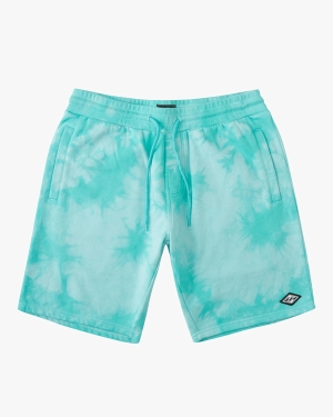 Men's Billabong Wave Washed Sweatshort 19 Shorts Mint | 176VOKTUL