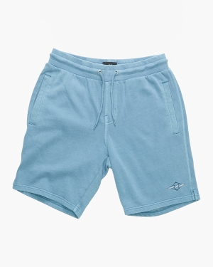 Men's Billabong Wave Washed Theme Arch Sweatshorts Shorts Blue | 912VPEYXG