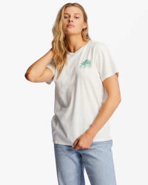 Women's Billabong A/Div Tee Short Sleeve UPF 50 T Shirts Multicolor | 278QFVPYI