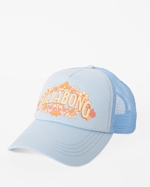 Women's Billabong Aloha Forever Trucker Hats Multicolor | 806OSWLGZ