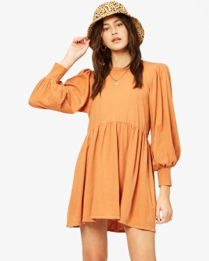 Women's Billabong Day To Dream Long Sleeve Babydoll Dress Multicolor | 907ARBGDF