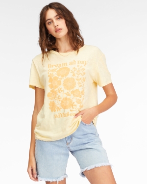 Women's Billabong Dream All Day Boyfriend T Shirts Multicolor | 435GJRFQN