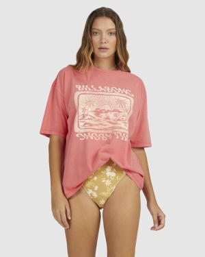Women's Billabong Dream Island Graphic Boyfriend T Shirts Red / Red | 726EVONFH