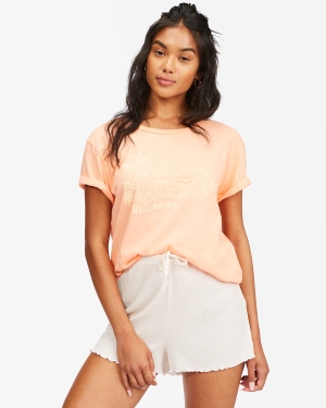 Women's Billabong Golden Day Boyfriend T Shirts Multicolor | 267TUJEWV
