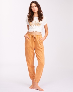 Women's Billabong Ideal Pants Multicolor | 026FXTYNL