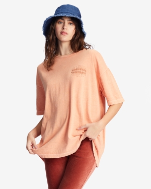 Women's Billabong Its A Trip Oversized Graphic Boyfriend T Shirts Multicolor | 724HYVTAE