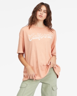 Women's Billabong Land Of Milk And Honey Boyfriend T Shirts Grey Rose | 907QPEAMI
