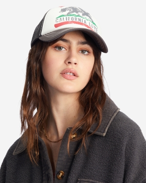 Women's Billabong Pitstop Trucker Hats Multicolor | 480AGHRLM