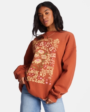 Women's Billabong Ride In Oversized Crewneck Sweatshirt Chocolate | 235AUYHRN
