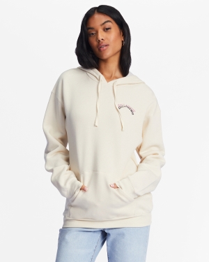 Women's Billabong Search For Stoke Graphic Hoodie White | 162SGYBPE