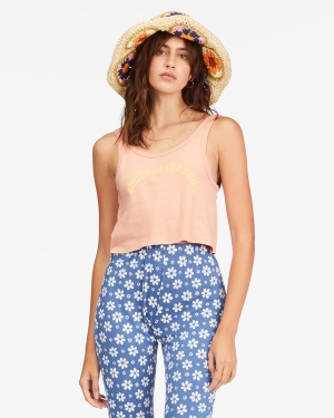 Women's Billabong Smile At The Sun Tanks Grey Rose | 371WUYDCH