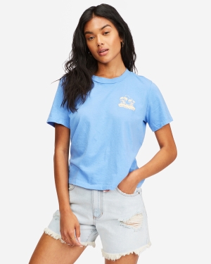 Women's Billabong Sunny Days Crewneck T Shirts Multicolor | 309LYVTKZ