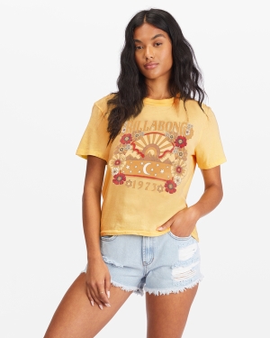 Women's Billabong Sunrise Scenic Vintage Cut T Shirts Multicolor | 872IKEWNS