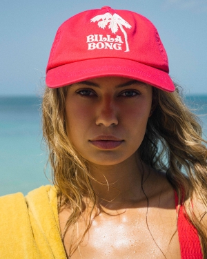 Women's Billabong Surf Club Baseball Hats Multicolor | 137ZMQPXN