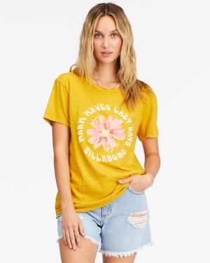 Women's Billabong Warm Waves Lazy Days Boyfriend T Shirts Multicolor | 861PLQHDB