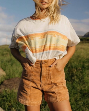 Women's Billabong Wrangler According To High-Waisted Corduroy Shorts Multicolor | 306PNFAMC